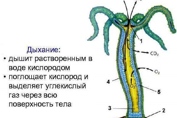 Маркетплейс кракен kraken darknet top