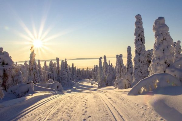 Кракен зайти зеркало