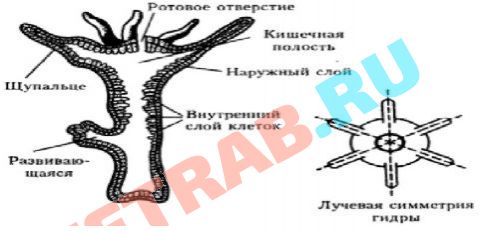 Кракен пользователь не найден